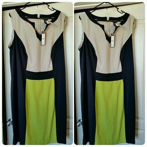 Brand new, color blockage dress!