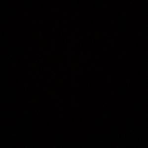 Meet your Posher, Hui