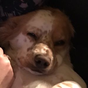 Meet your Posher, Gary