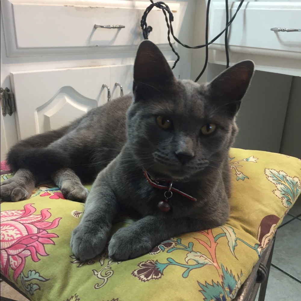 Meet your Posher, Tia