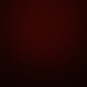 Meet your Posher, Brodie