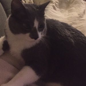 Meet your Posher, Jackie