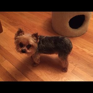 Meet your Posher, Casey