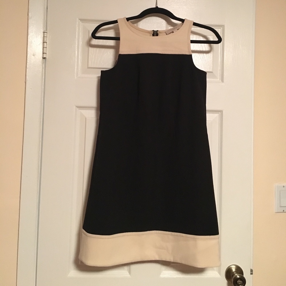 Loft sleveless dress with back zipper