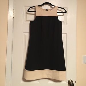 Loft sleveless dress with back zipper