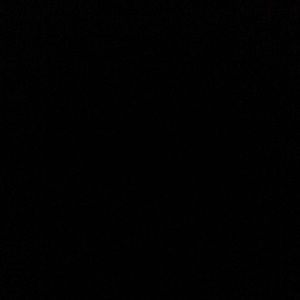 Meet your Posher, Bob