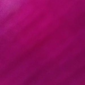 Meet your Posher, Corina