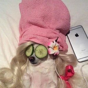 Meet your Posher, Yaisa