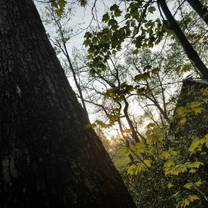 Meet your Posher, River