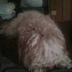 Meet your Posher, Benjamin