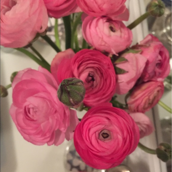 Meet your Posher, Nicole - Picture 1 of 1