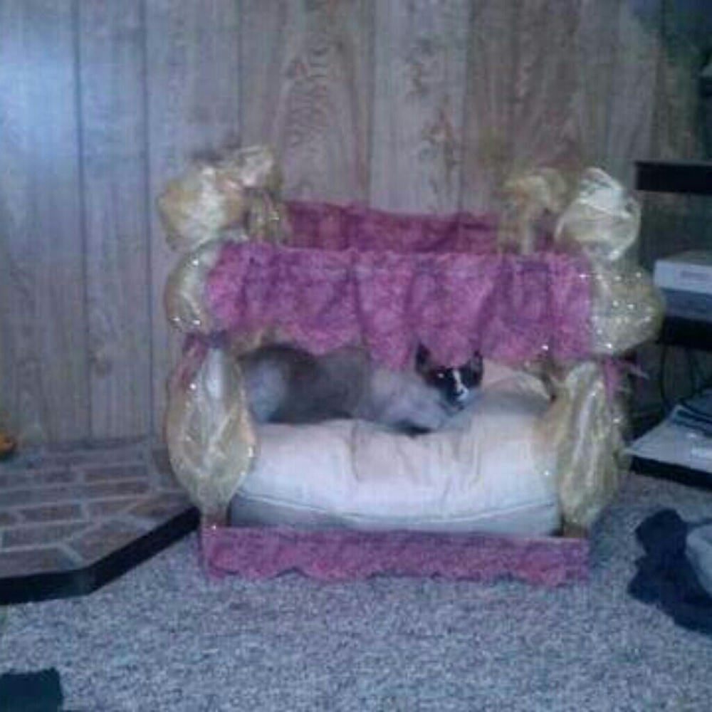 Princess/Prince Bed