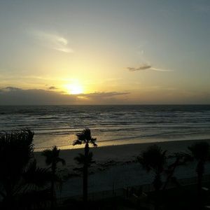 Meet your Posher, Flor