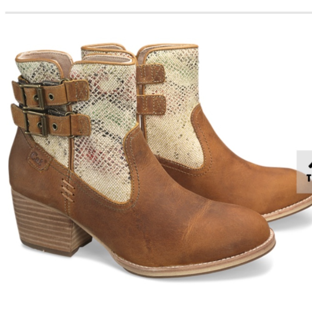 Brand New Still in Box Cat Footwear Booties