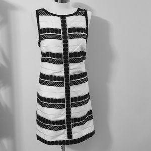 Max Studio Black/White/Grey Dress