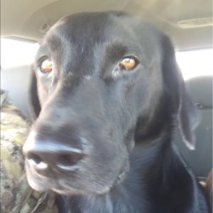 Meet your Posher, Amber