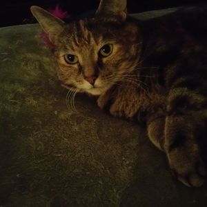 Meet your Posher, Kathryn