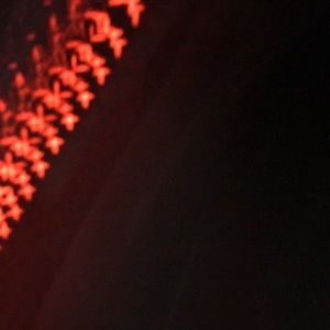 Meet your Posher, Anne