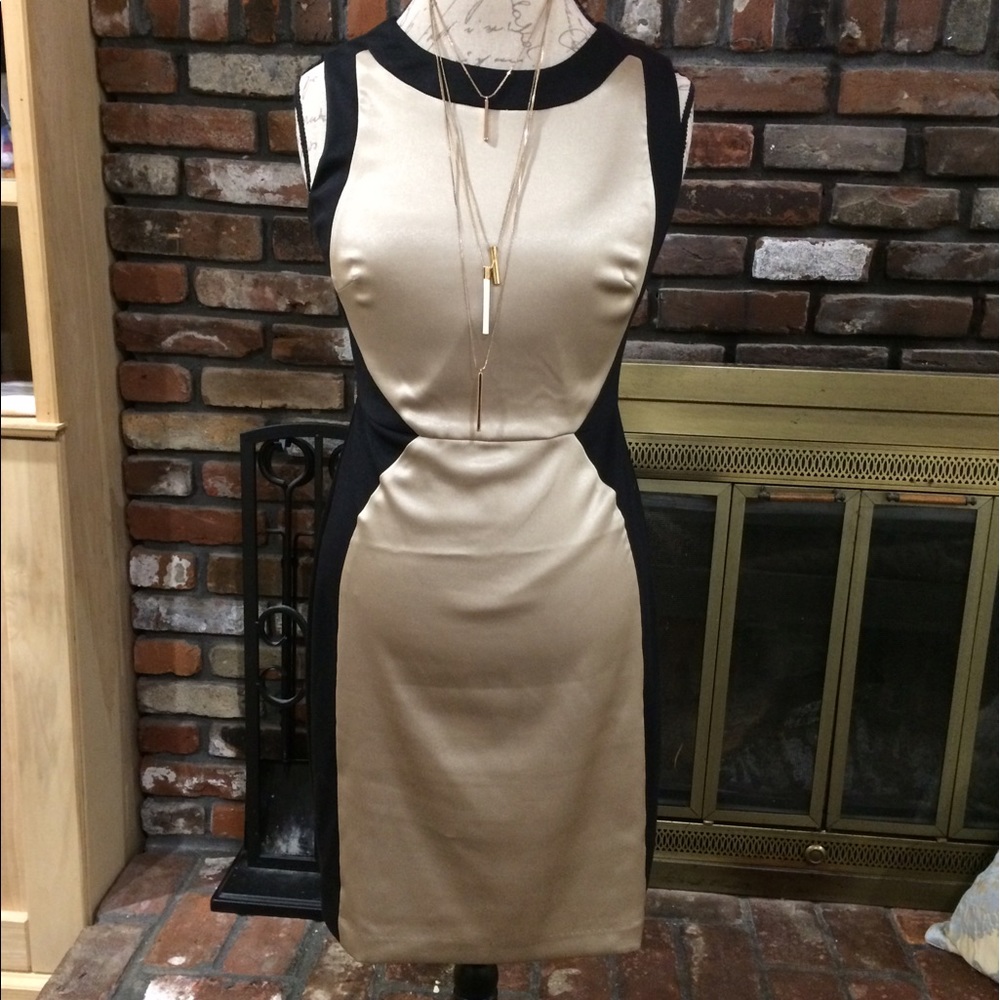 The Limited gold and black colorblock dress