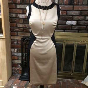 The Limited gold and black colorblock dress