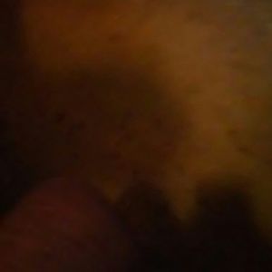 Meet your Posher, Benny