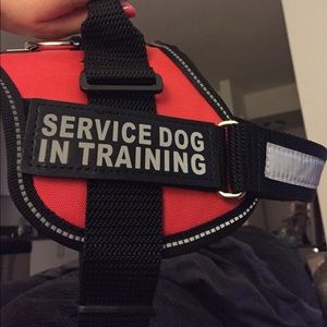 Service Dog Harness