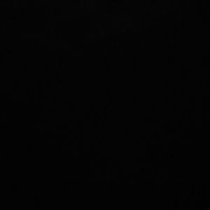 Meet your Posher, Henry