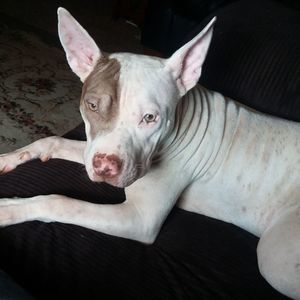 Meet your Posher, Jeremy