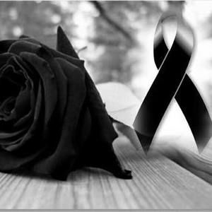 Meet your Posher, Cecilia