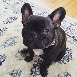 Meet your Posher, Elaine