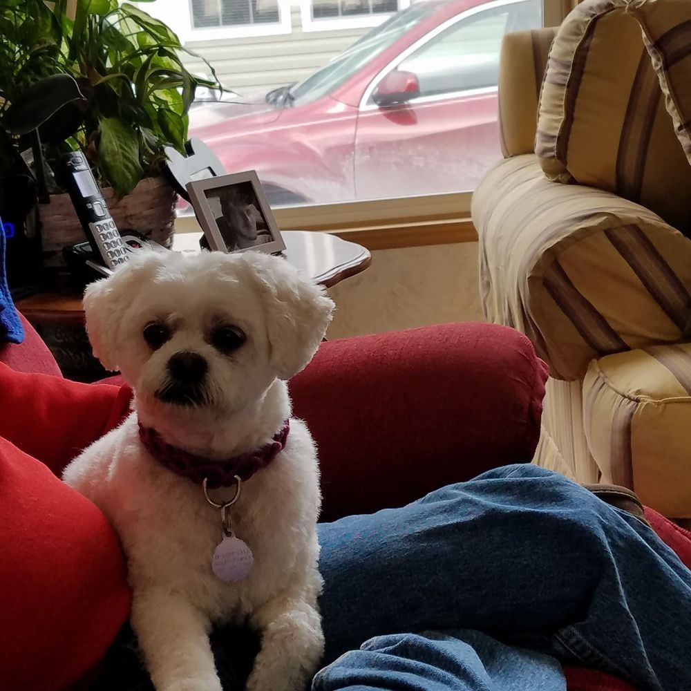 Meet your Posher, Angie