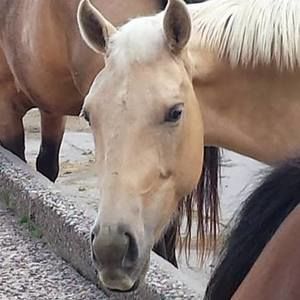 Meet your Posher, Larissa