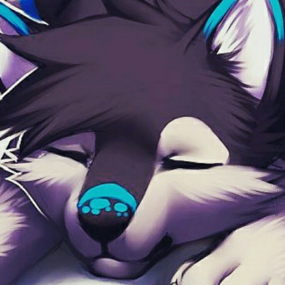 Meet your Posher, Mini - Picture 1 of 1