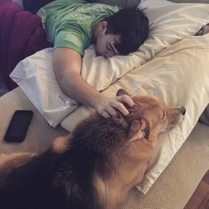 Meet your Posher, Will