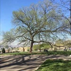 Meet your Posher, Mei