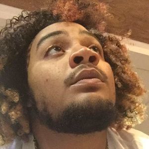 Meet your Posher, Allan