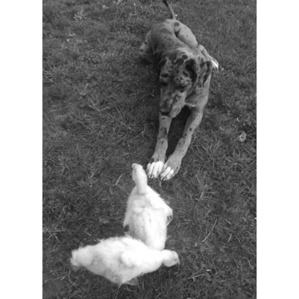 Meet your Posher, Kadee