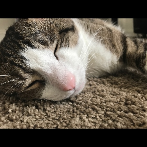 Meet your Posher, Mike - Picture 1 of 1