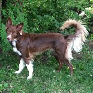 Meet your Posher, Janet