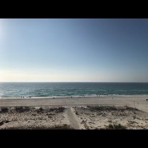 Meet your Posher, Rosalind