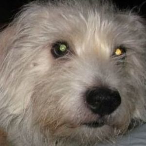 Meet your Posher, Mia