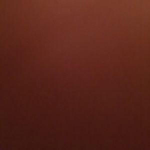 Meet your Posher, Kanka