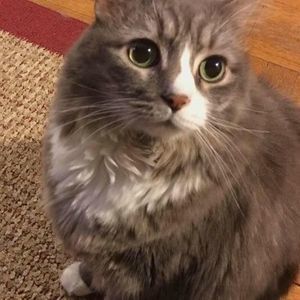 Meet your Posher, Dawn