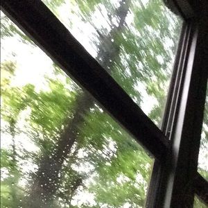 Meet your Posher, Kat