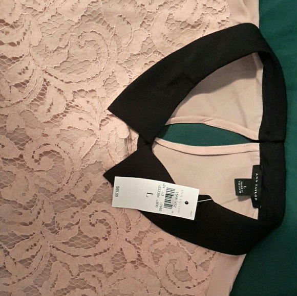 Tops - Picture 3 of 5