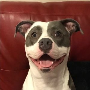 Meet your Posher, Diego