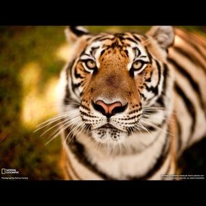 Meet your Posher, Miguel