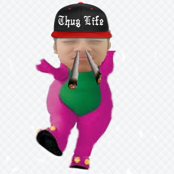 Meet your Posher, Gerardo - Picture 1 of 1