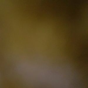 Meet your Posher, Ashton