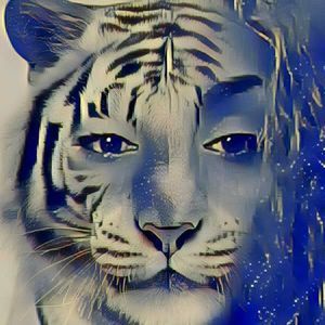 Meet your Posher, Mercedes